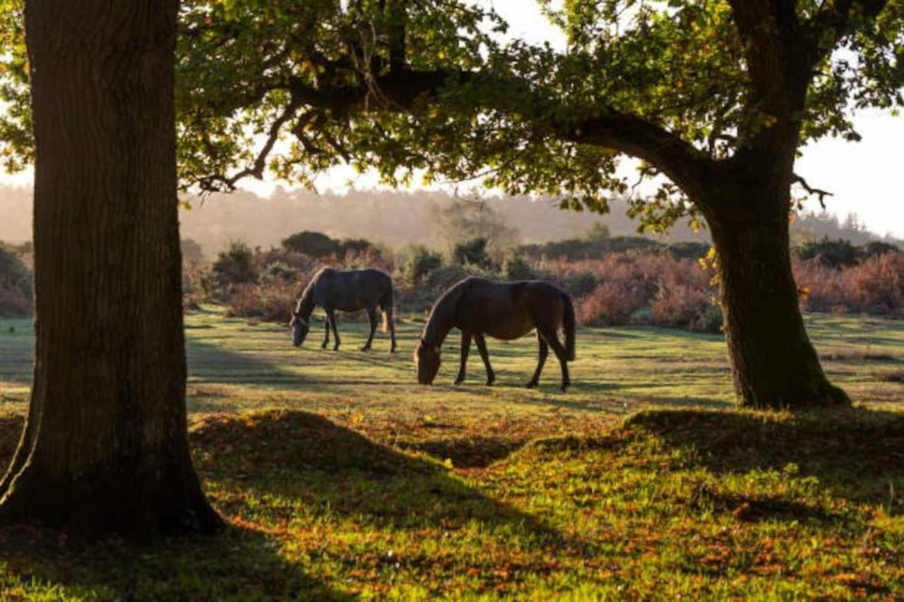 New Forest Retreat Shorefield Country Park Lymington Esterno foto